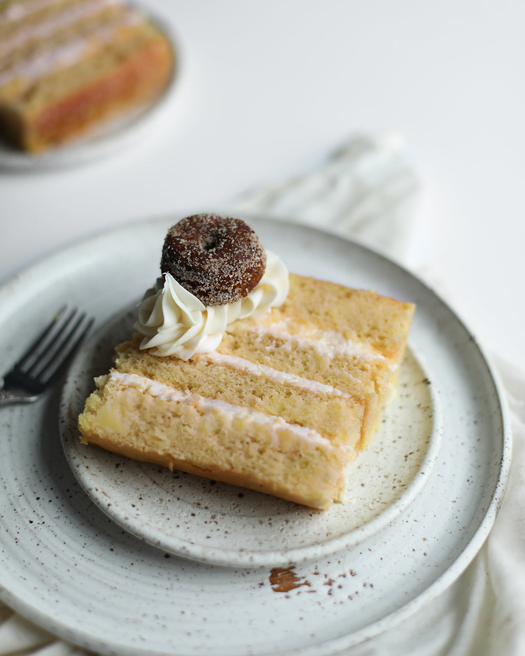 Apple Cider Doughnut Cake - 11/14